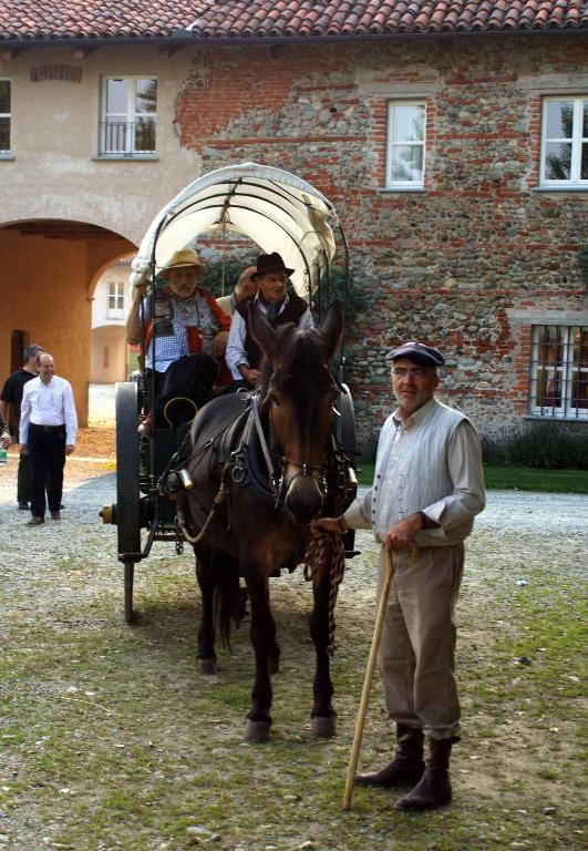 Agriturismo Camisassi 살루초 외부 사진